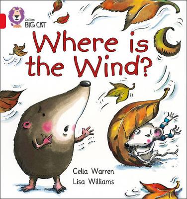 COLLINS BIG CAT : WHERE IS THE WIND? BAND 02BRED B PB