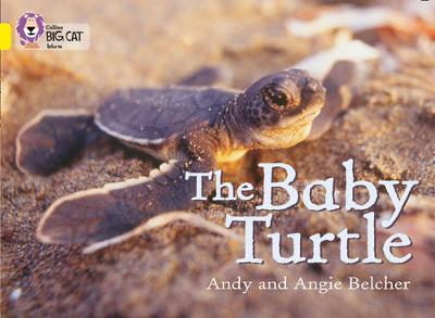 COLLINS BIG CAT : THE BABY TURTLE BAND 03 YELLOW PB