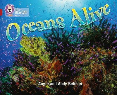 COLLINS BIG CAT : OCEANS ALIVE BAND 14RUBY PHASE 5, BK. 18 PB