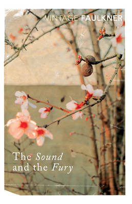 VINTAGE CLASSICS : THE SOUND AND THE FURY PB B FORMAT