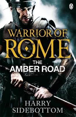 WARRIOR OF ROME 6: THE AMBER ROAD PB