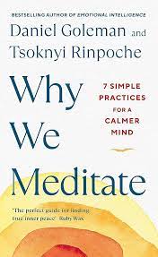 WHY WE MEDITATE :7 SIMPLE PRACTICES FOR A CALMER MINS HC