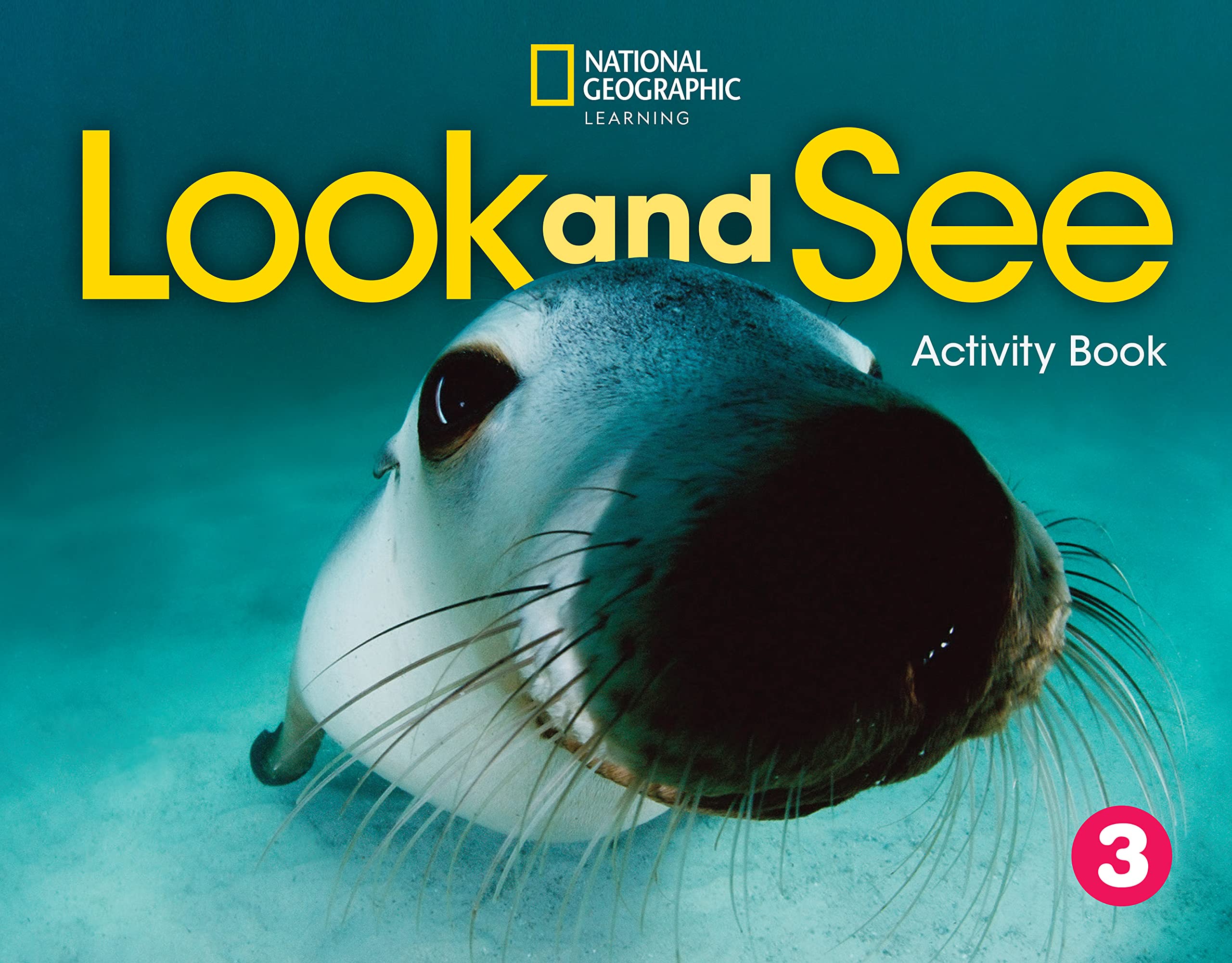 LOOK AND SEE LEVEL 3 ACTIVITY BOOK BRIT. ED