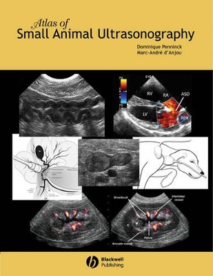 ATLAS OF SMALL ANIMAL ULTRASONOGRAPHY 1ST ED HC