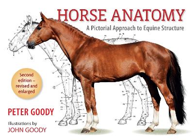 HORSE ANATOMY A PICTORIAL APPROACH TO EQUINE STRUCTURE