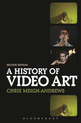 A HISTORY OF VIDEO ART  PB