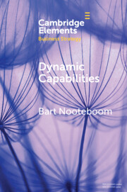 DYNAMIC CAPABILITIES. HISTORY AND AN EXTENSION