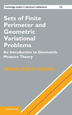 SETS OF FINITE PERIMETER AND GEOMETRIC VARIATIONAL PROBLEMS  HC