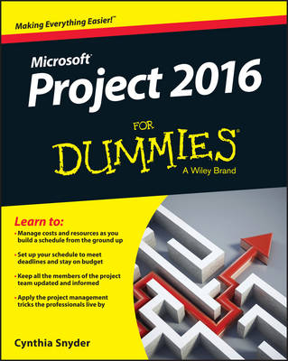 PROJECT 2016 FOR DUMMIES PB