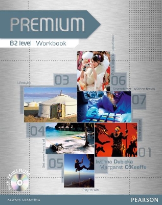 PREMIUM B2 WB (+ MULTI-ROM)