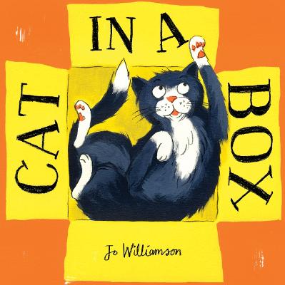 CAT IN A BOX  PB
