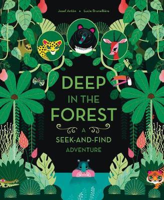 DEEP IN THE FOREST : A SEEK - AND - FIND PB