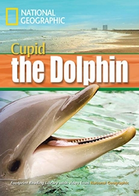 FRL 4: A DOLPHIN NAMED CUPID