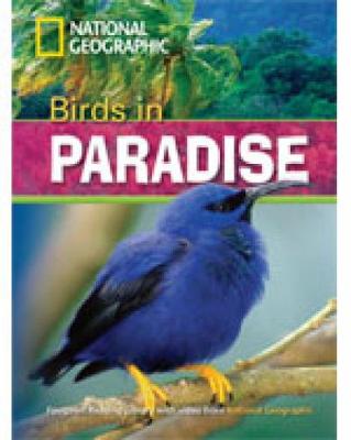 NGR : BIRDS IN PARADISE B1 (+ DVD)