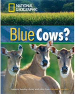 NGR : BLUE COWS? B1 ( DVD)