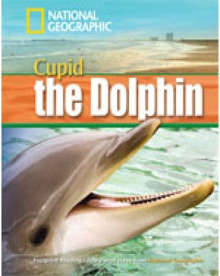 NGR : CUPID THE DOLPHIN B1 ( DVD)