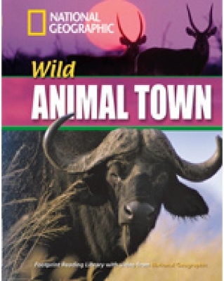 NGR : WILD ANIMAL TOWN B1 ( DVD)