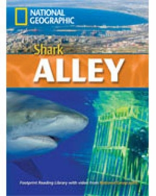 NGR : SHARK ALLEY B2 ( DVD)