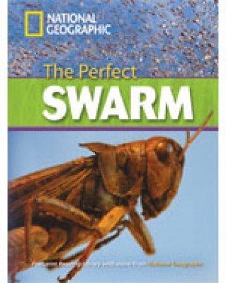 NGR : PERFECT SWARM C1 ( DVD)