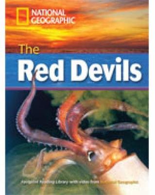 NGR : RED DEVILS C1 ( DVD)