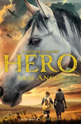 A HORSE CALLED HERO PB