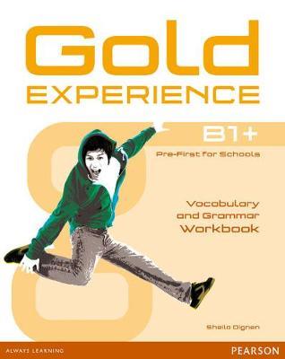GOLD EXPERIENCE B1+ WB