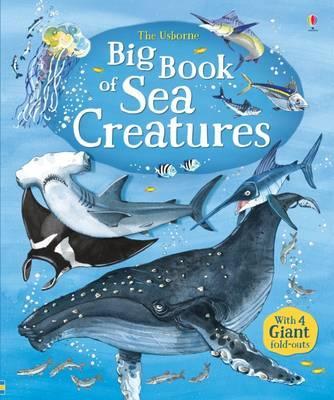 USBORNE BIG BOOK OF SEA CREATURES HC
