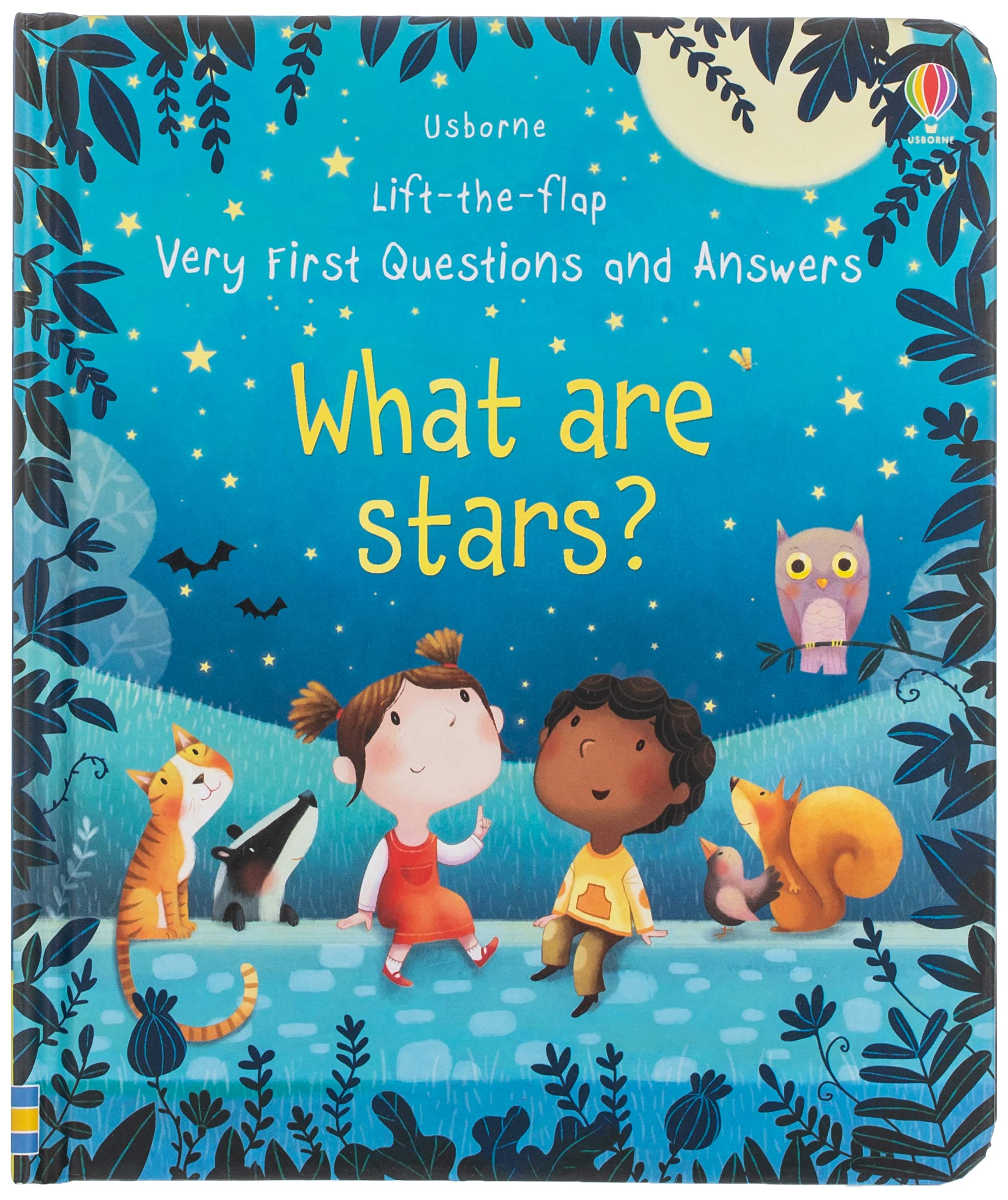 LIFT-THE FLAP VERY FIRST QUESTIONS  ANSWERS WHAT ARE STARS? HC BBK