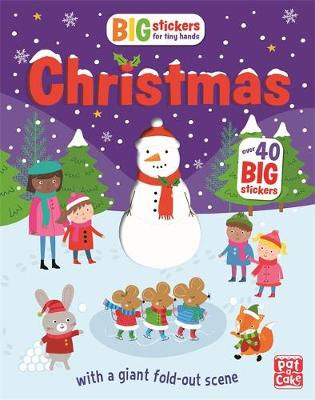CHRISTMAS : WITH SCENES, ACTIVITIES AND A GIANT FOLD OUT PICTURE PB