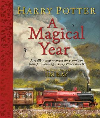 HARRY POTTER A MAGICAL YEAR ILLUSTRATED ED. HC
