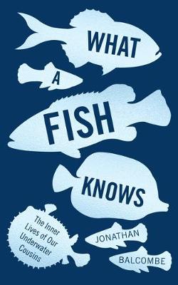 WHAT A FISH KNOWS : THE INNER LIVES OF OUR UNDERWATER COUSINS PB