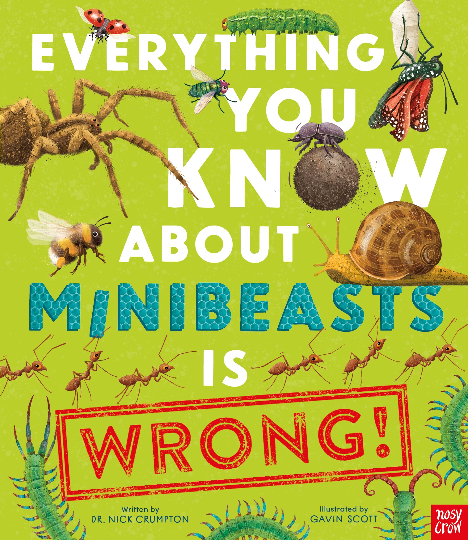 EVERYTHING YOU KNOW ABOUT MINIBEASTS IS WRONG! HC