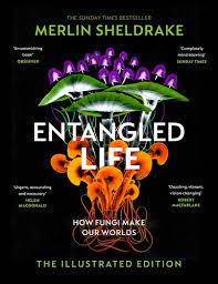 ENTANGLED LIFE : HOW FUNGI MAKE OUR WORLDS, CHANGE OUR MINDS AND SHAPE OUR FUTURES  HC